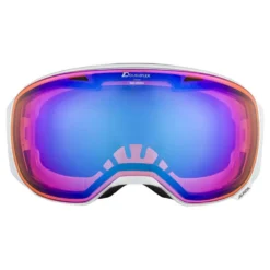 Alpina Big Horn HM Ski Goggles
