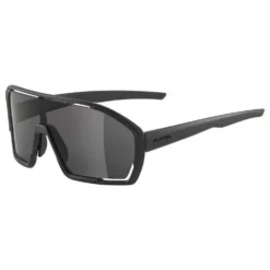 Alpina Bonfire Sunglasses