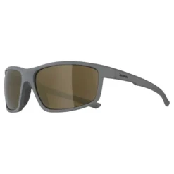 Alpina Defey Sunglasses