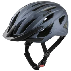 Alpina Delft MIPS Road Helmet