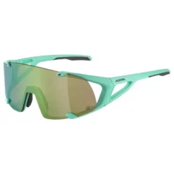 Alpina Hawkeye S Q-Lite Sunglasses