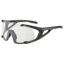 Alpina Hawkeye Sunglasses