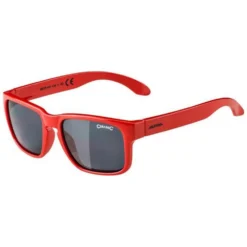 Alpina Mitzo Sunglasses
