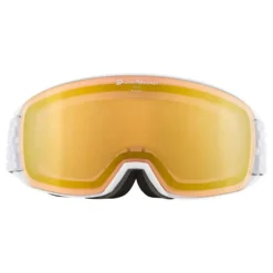 Alpina Nakiska QVM Ski Goggles