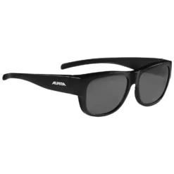Alpina Overview II Polarized Mirror Sunglasses