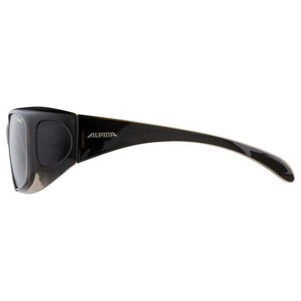 Alpina Overview Sunglasses - Image 3
