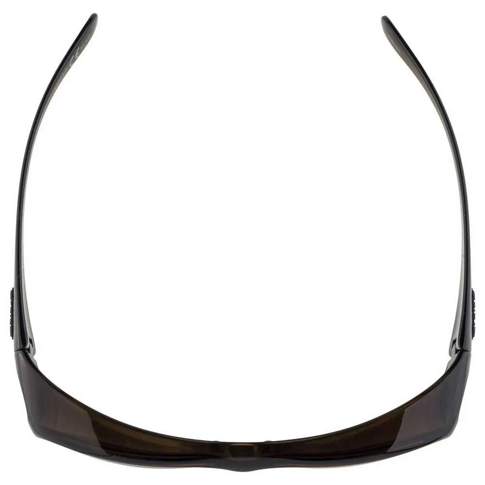 Alpina Overview Sunglasses - Image 4