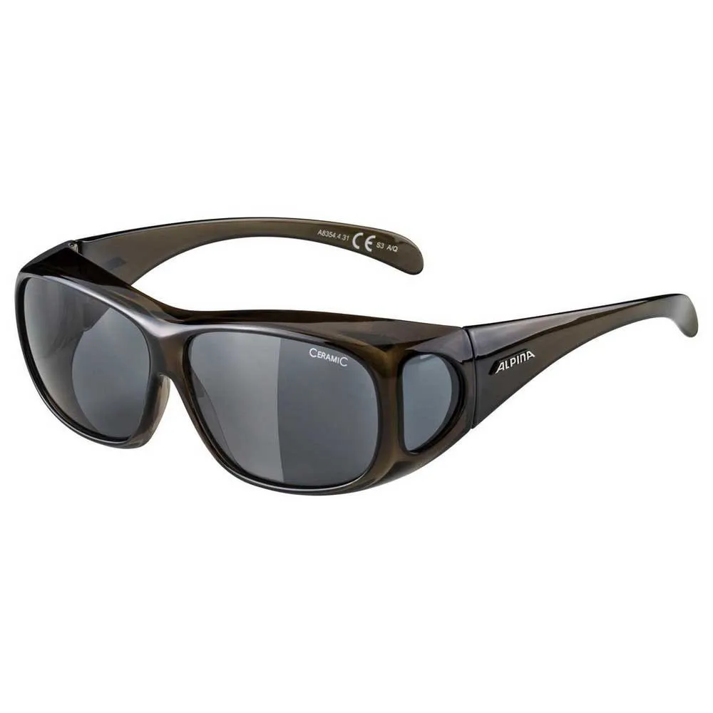 Alpina Overview Sunglasses