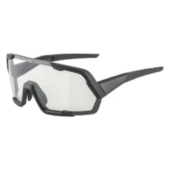 Alpina Rocket Sunglasses