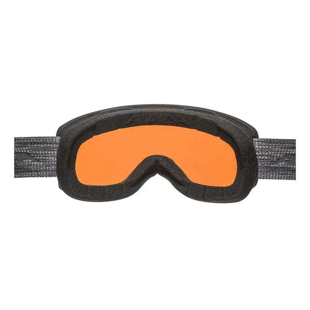 Alpina Scarabeo QH Ski Goggles - Image 2