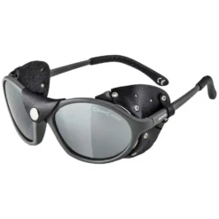 Alpina Sibiria Mirror Sunglasses