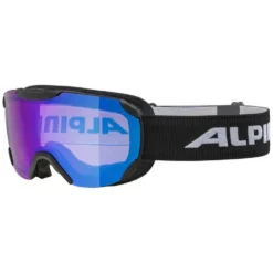 Alpina Thaynes HM Ski Goggles