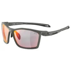 Alpina Twist Five QV Sunglasses